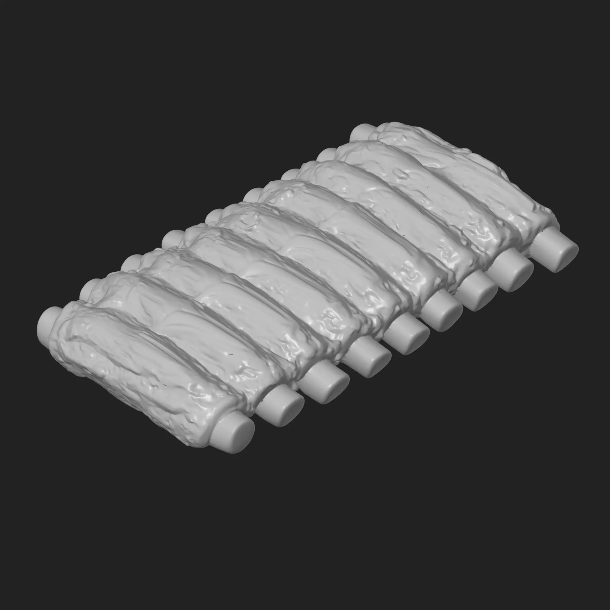 Rack of Ribs 3D print model