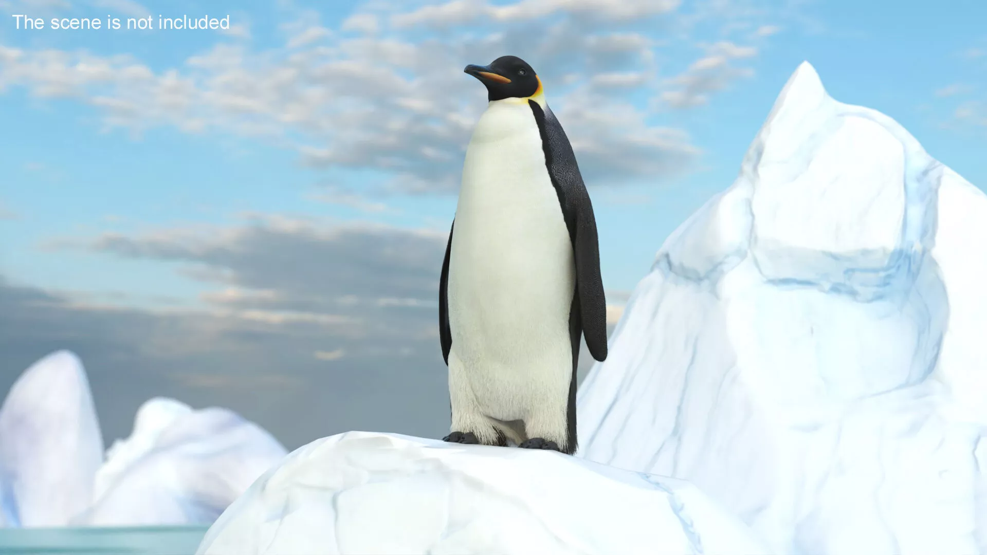Emperor Penguin on Iceberg Top Scene Fur 3D model
