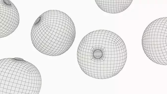 Husked Physalis Ripe Orange 3D model 7