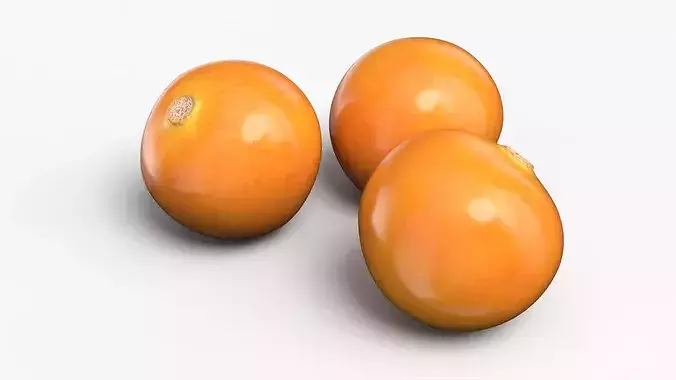 Husked Physalis Ripe Orange 3D model 5