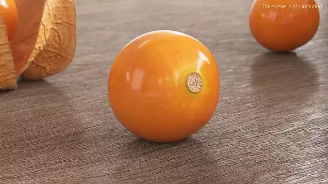 Husked Physalis Ripe Orange 3D model 3