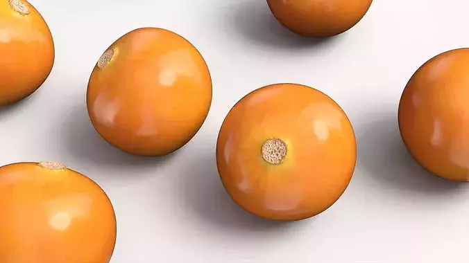 Husked Physalis Ripe Orange 3D model 6