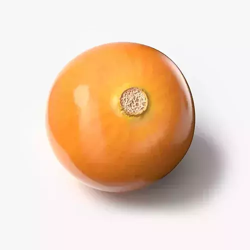 Husked Physalis Ripe Orange 3D model 2