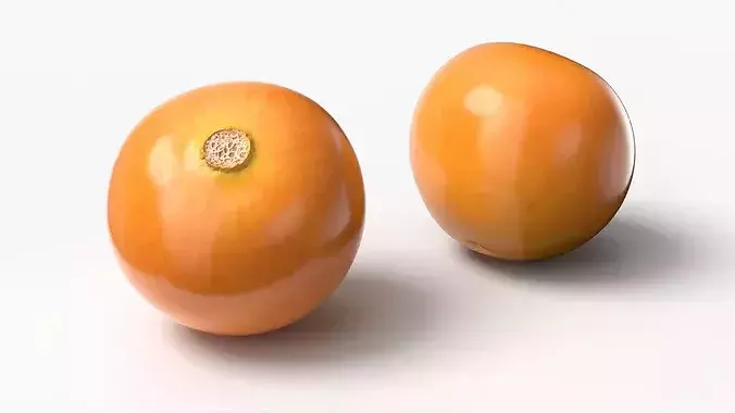 Husked Physalis Ripe Orange 3D model