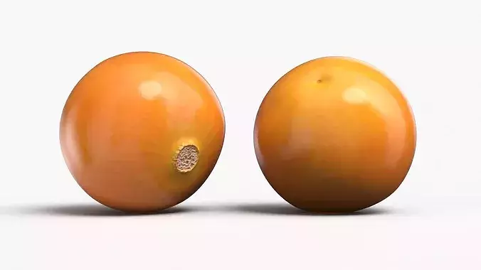 Husked Physalis Ripe Orange 3D model 4