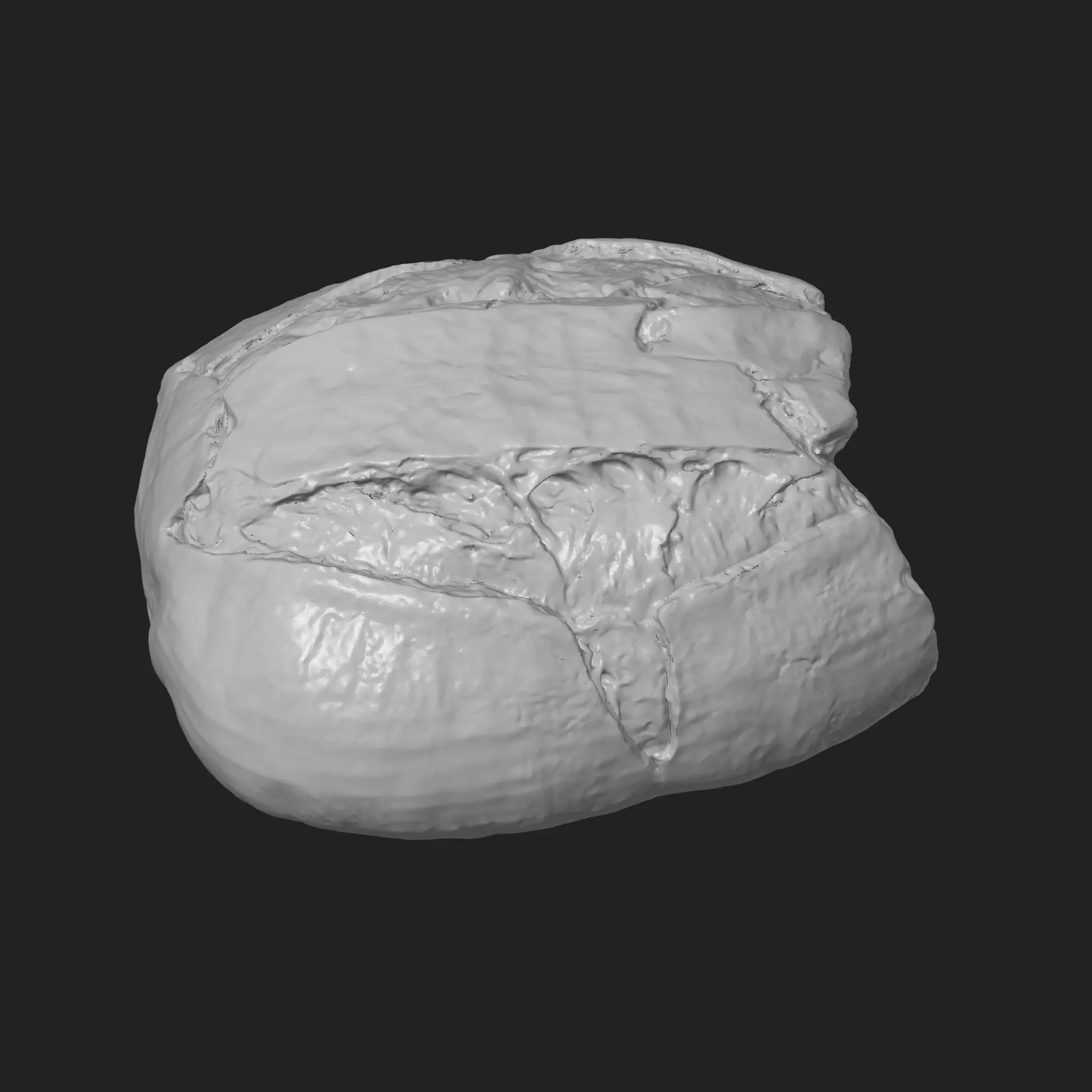 Long Cracked Bread 3D print model