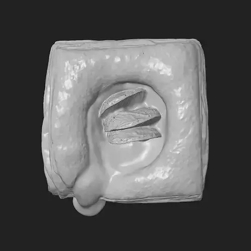 Strawberry Fruit Danish 3D print model 6