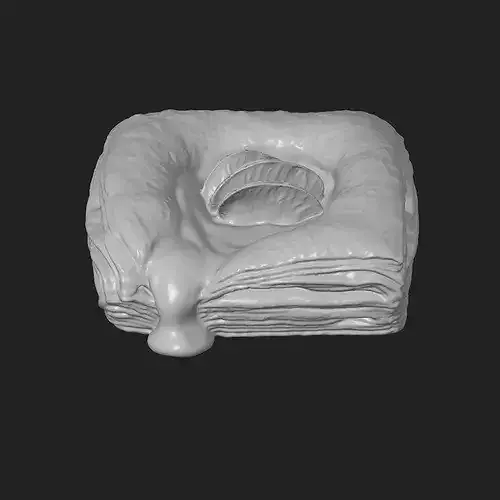 Strawberry Fruit Danish 3D print model 2
