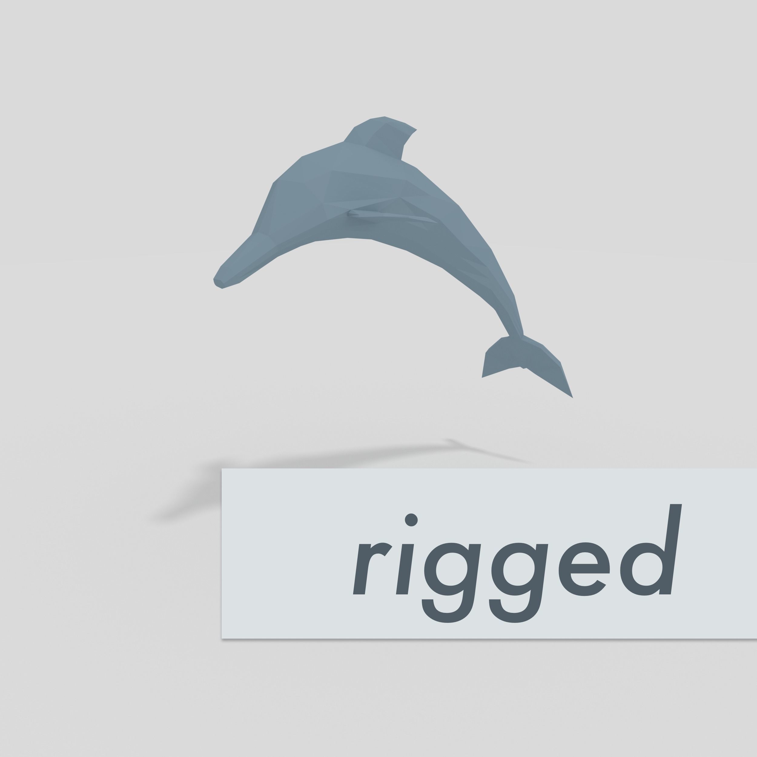 LowPoly Dolphin rigged Low-poly 3D model_0