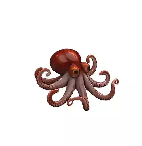 3D Octopus Character