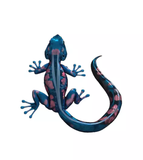 Stylized Reptile Lizard 3D print model