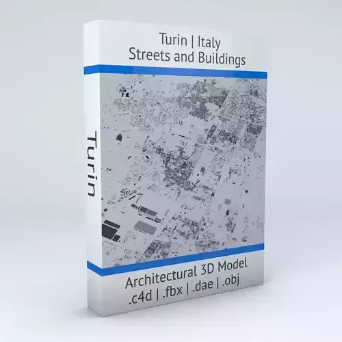 Turin Streets and Buildings