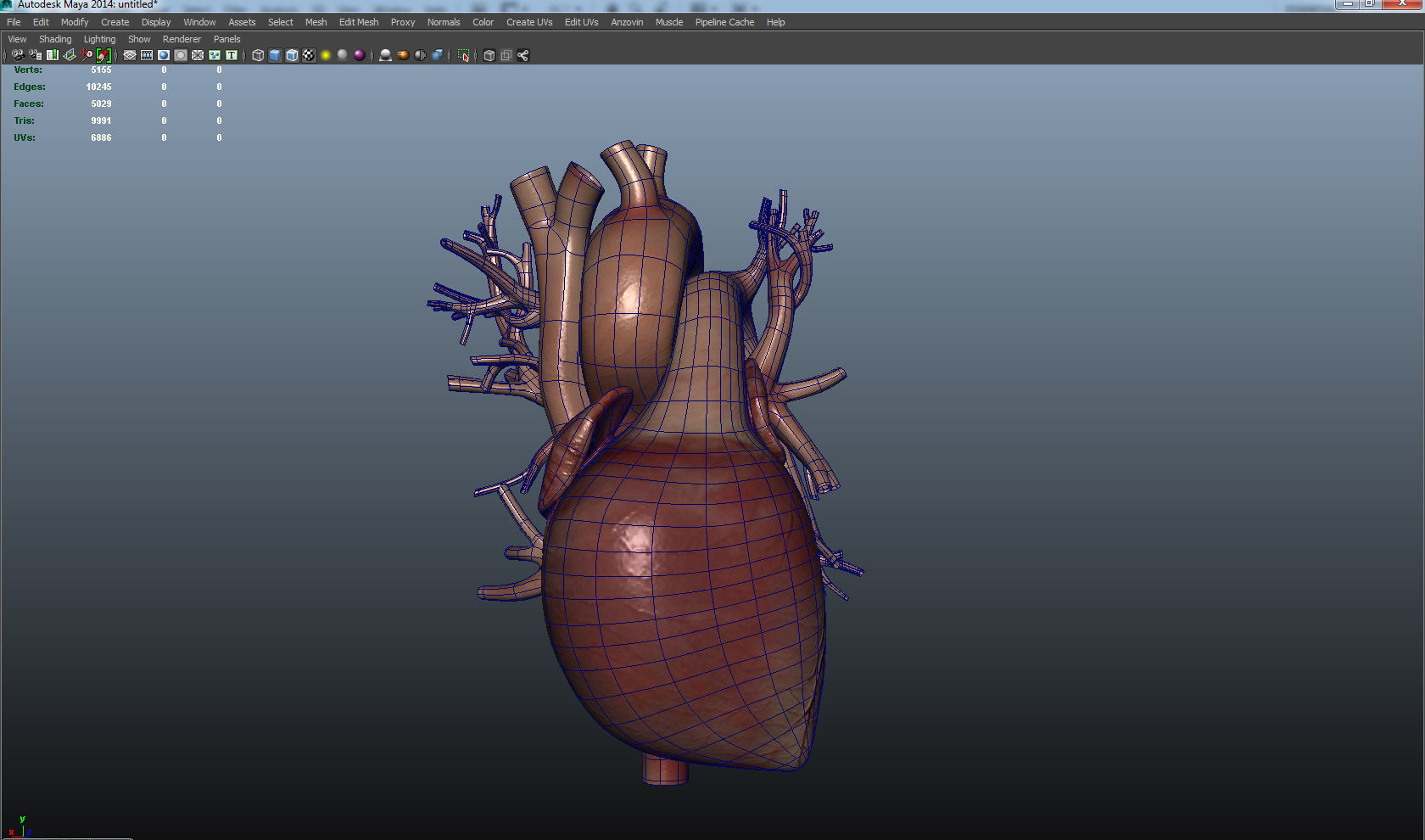 Human Heart Low-poly 3D model_3