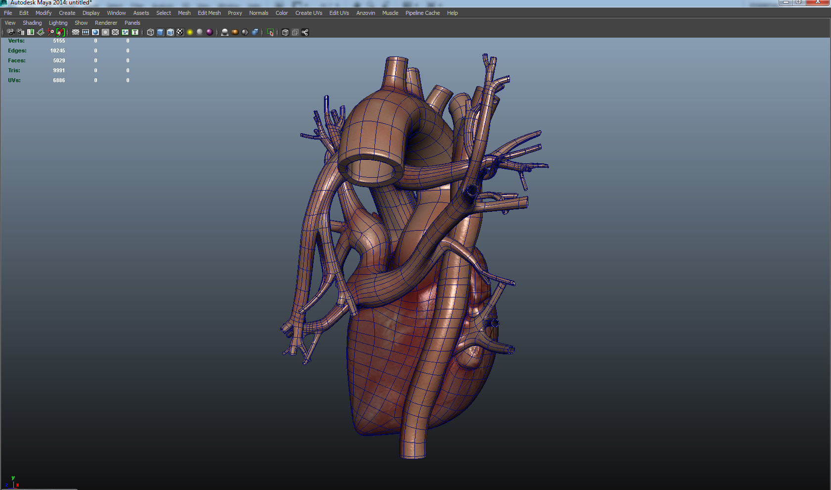 Human Heart Low-poly 3D model_2