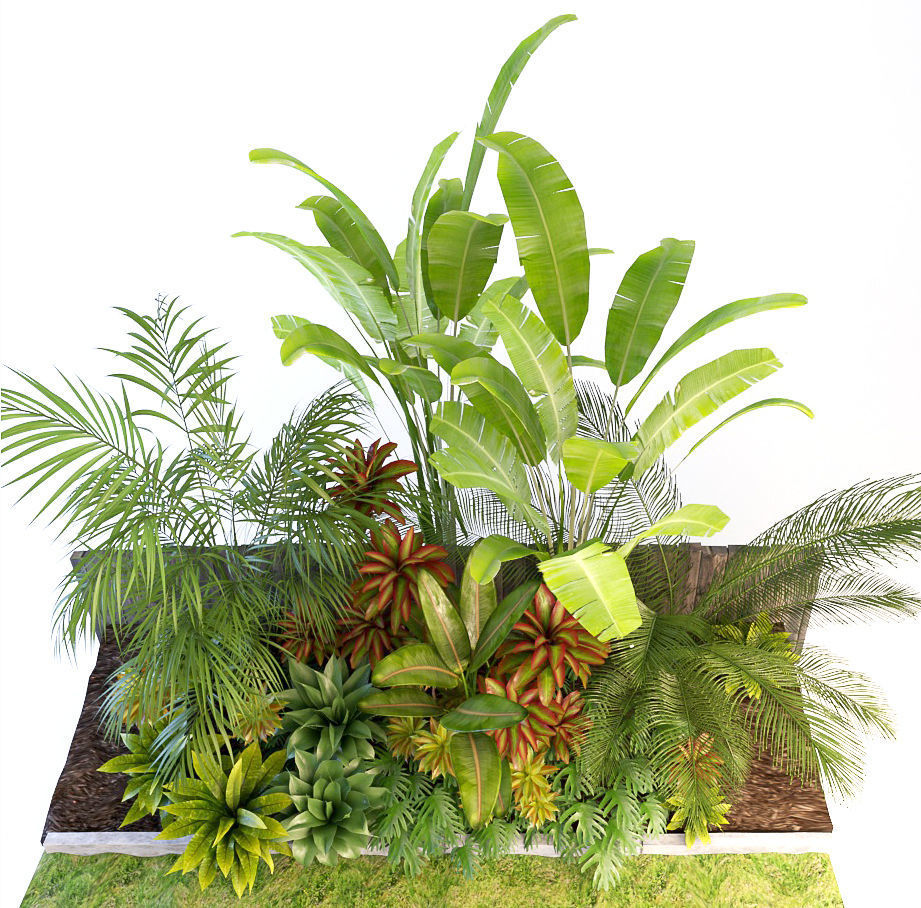 Palm composition 3D model_4