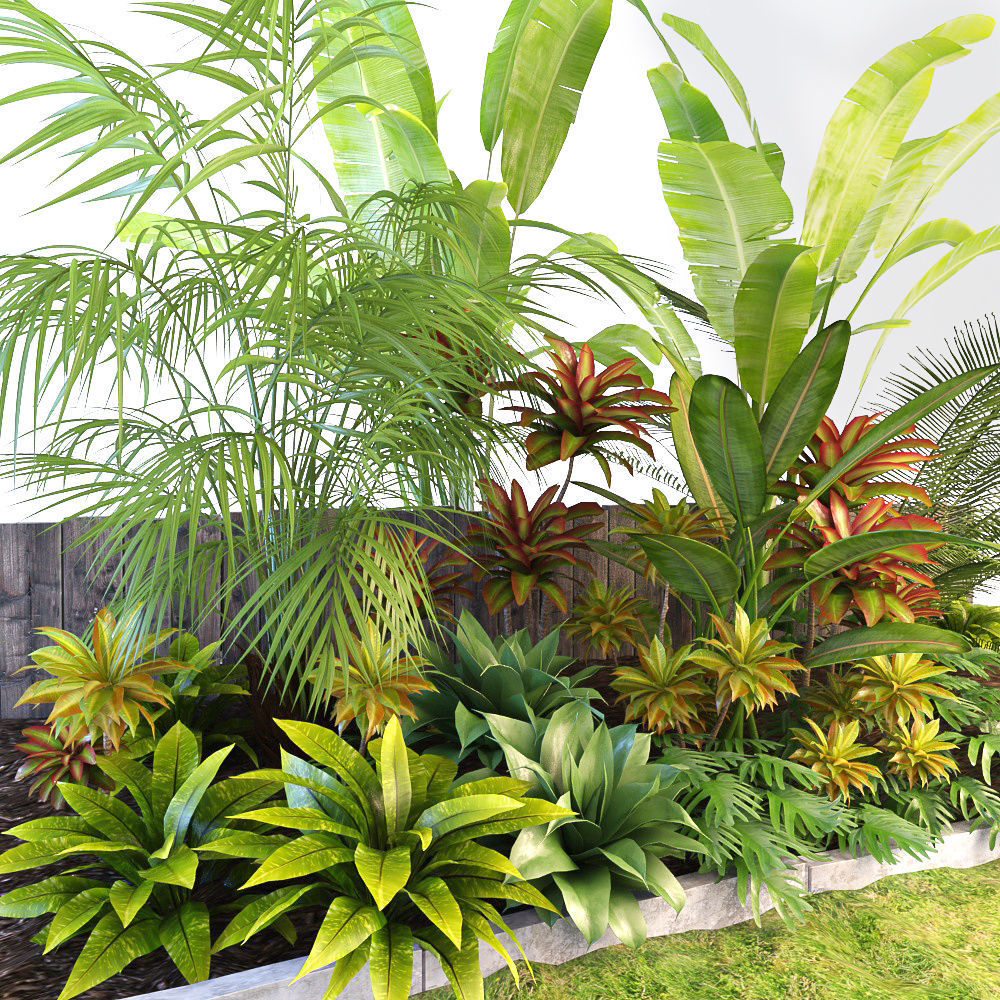 Palm composition 3D model_3