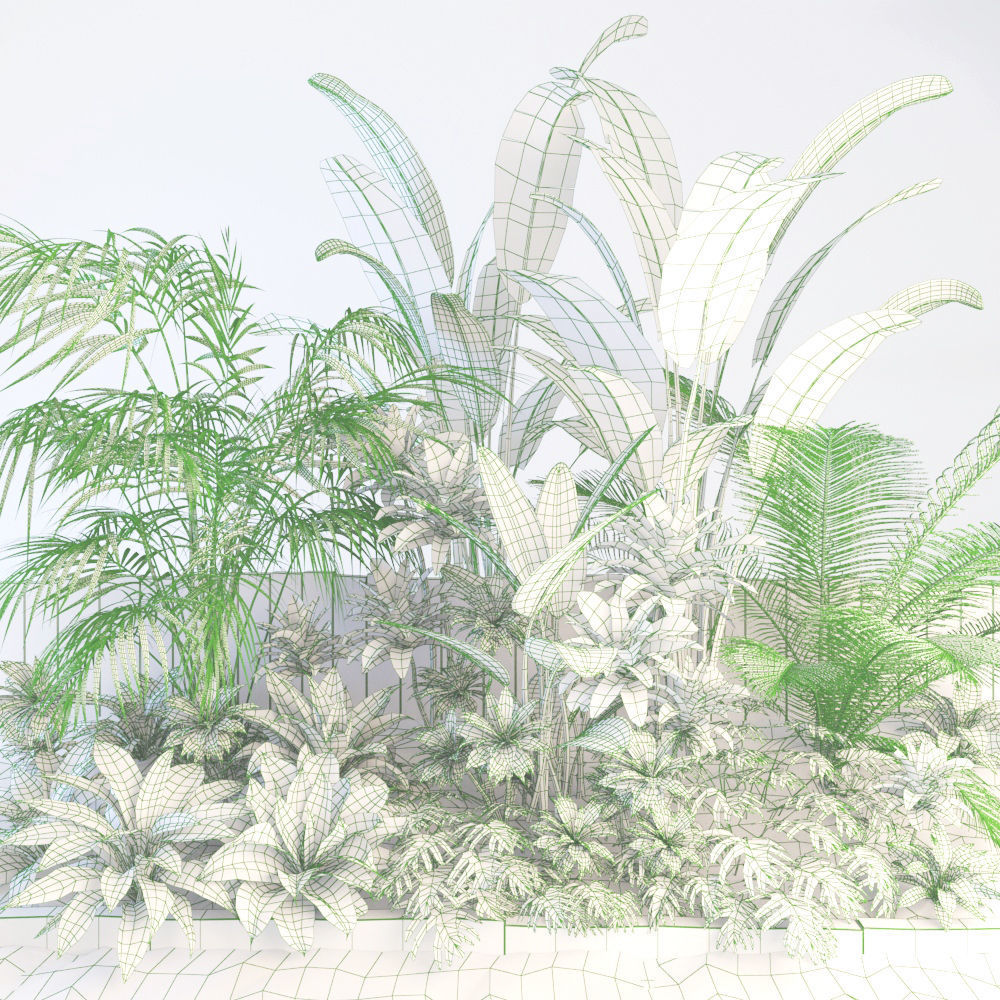 Palm composition 3D model_1