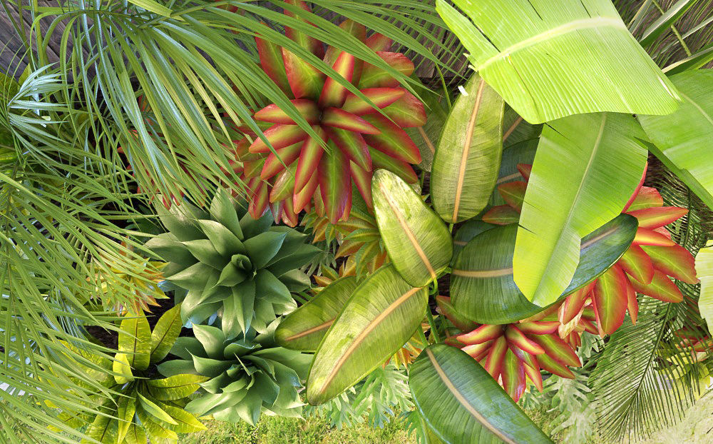 Palm composition 3D model_5