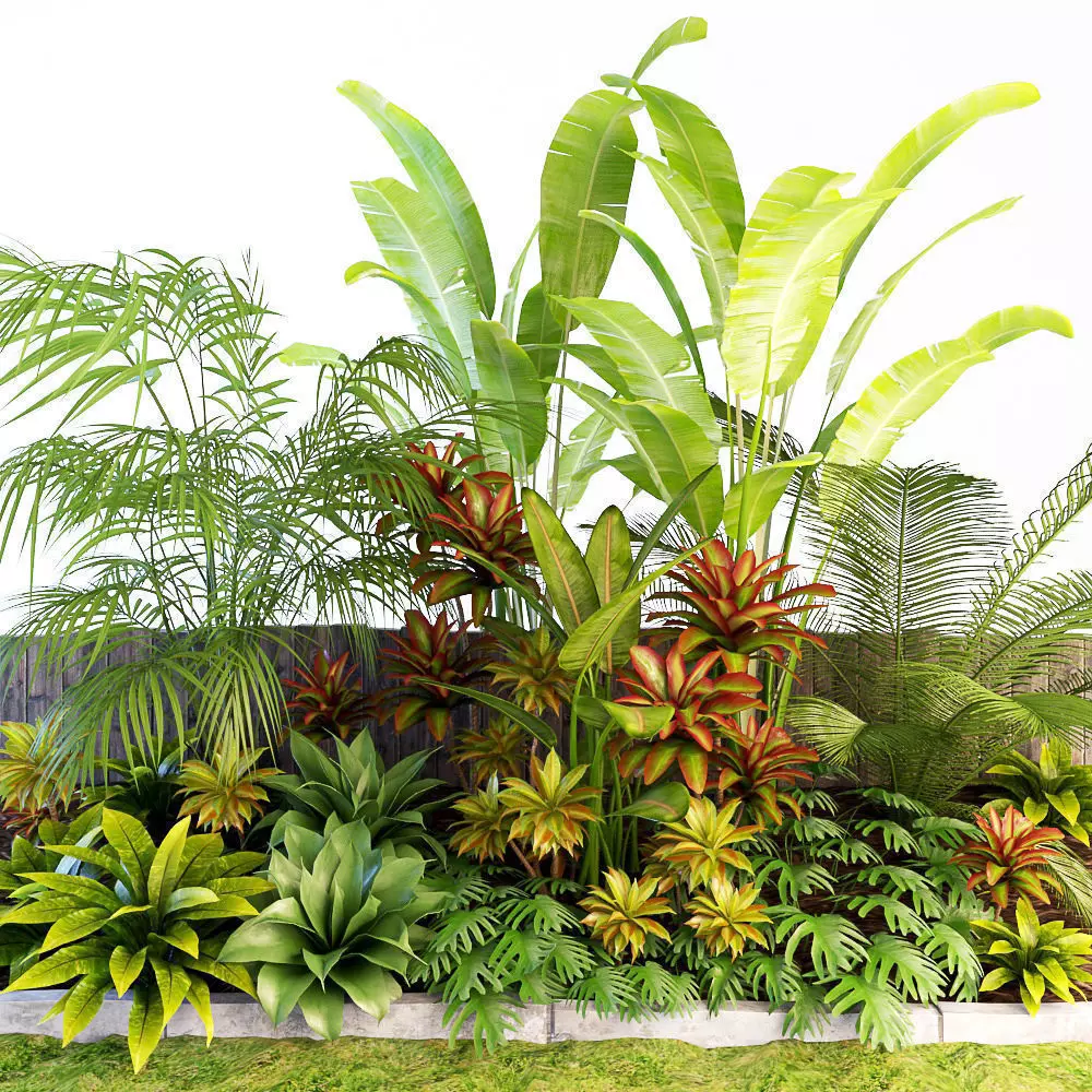 Palm composition 3D model_0