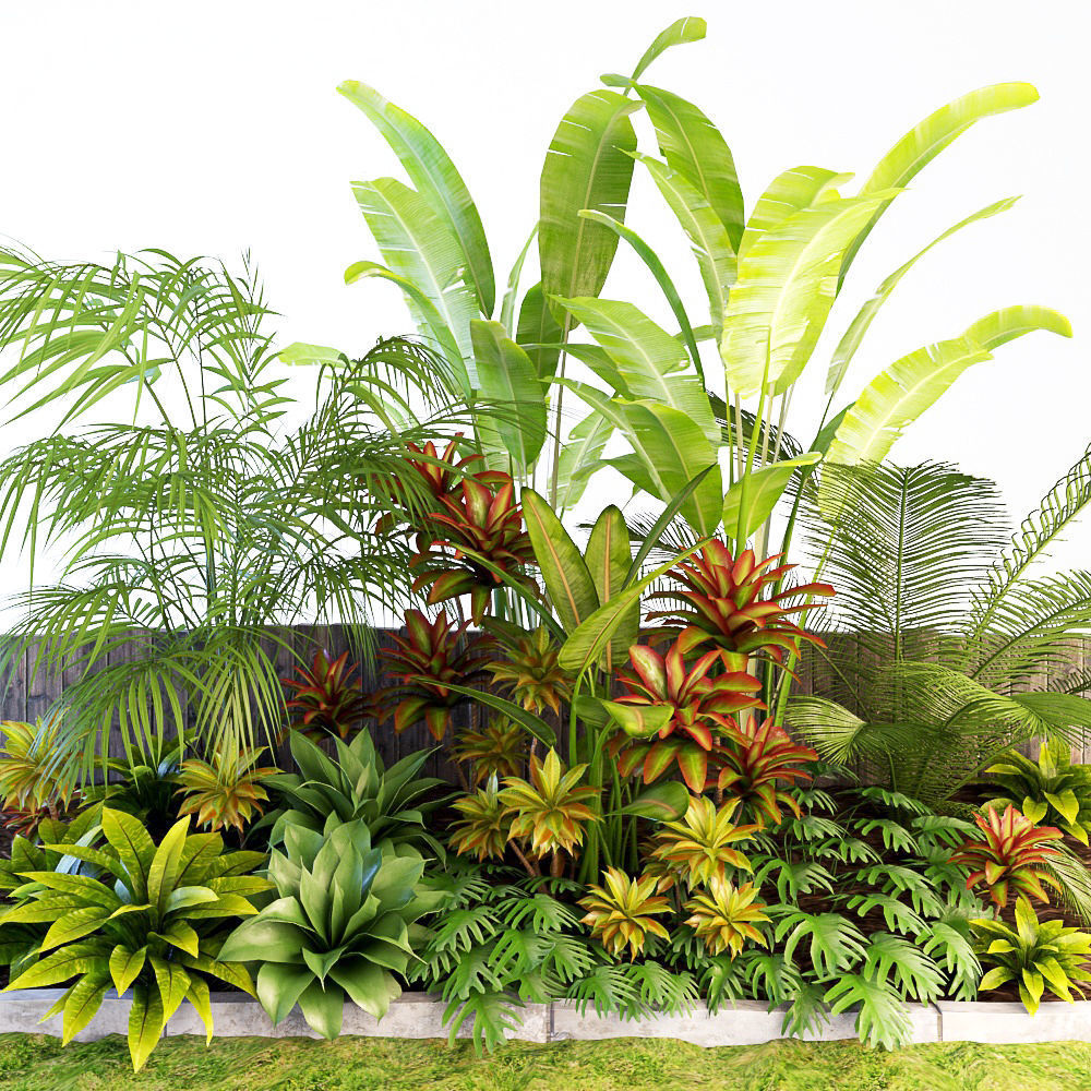 Palm composition