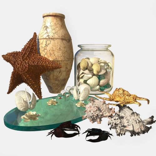 Sea Set starfish 3D model