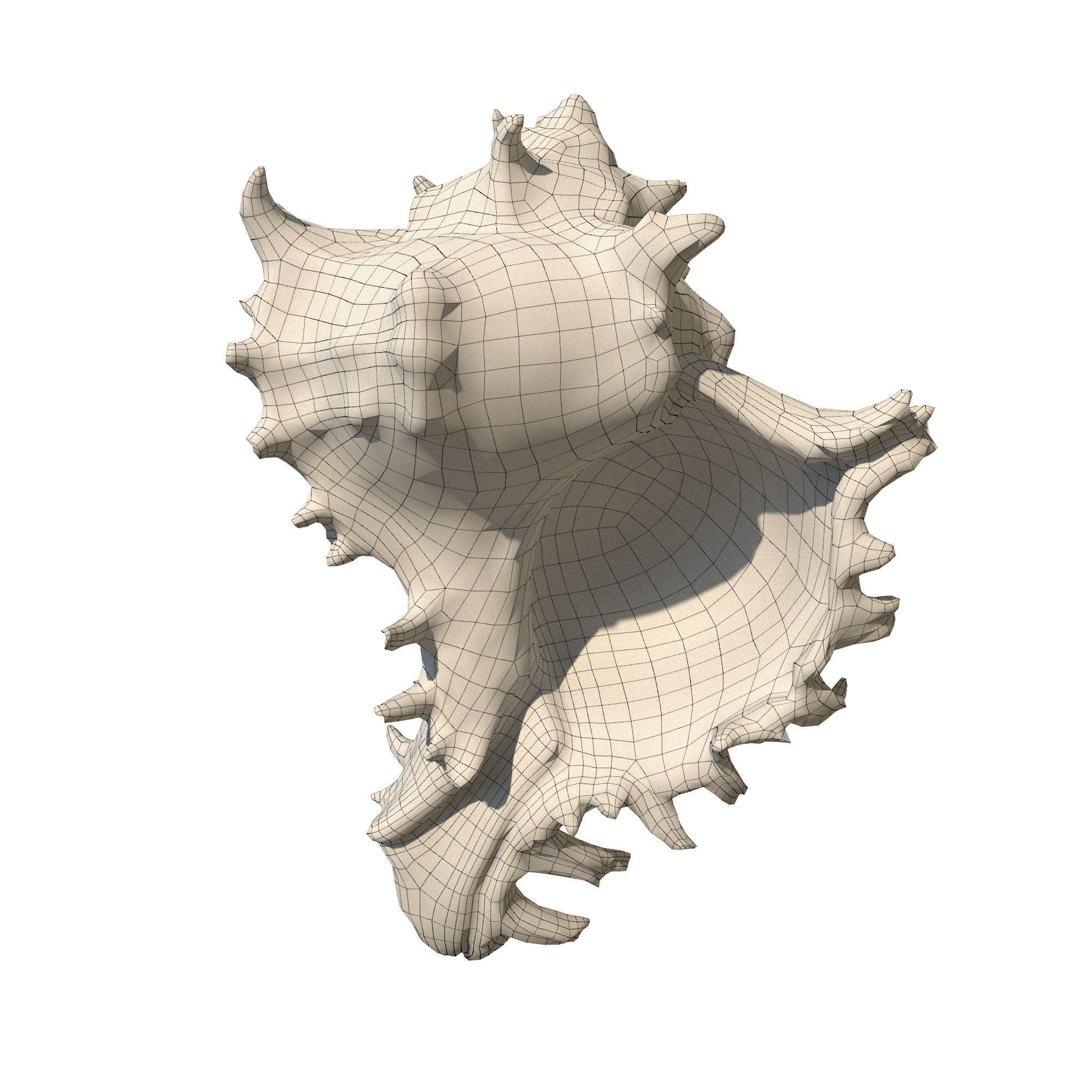 Sea Set starfish 3D model_15