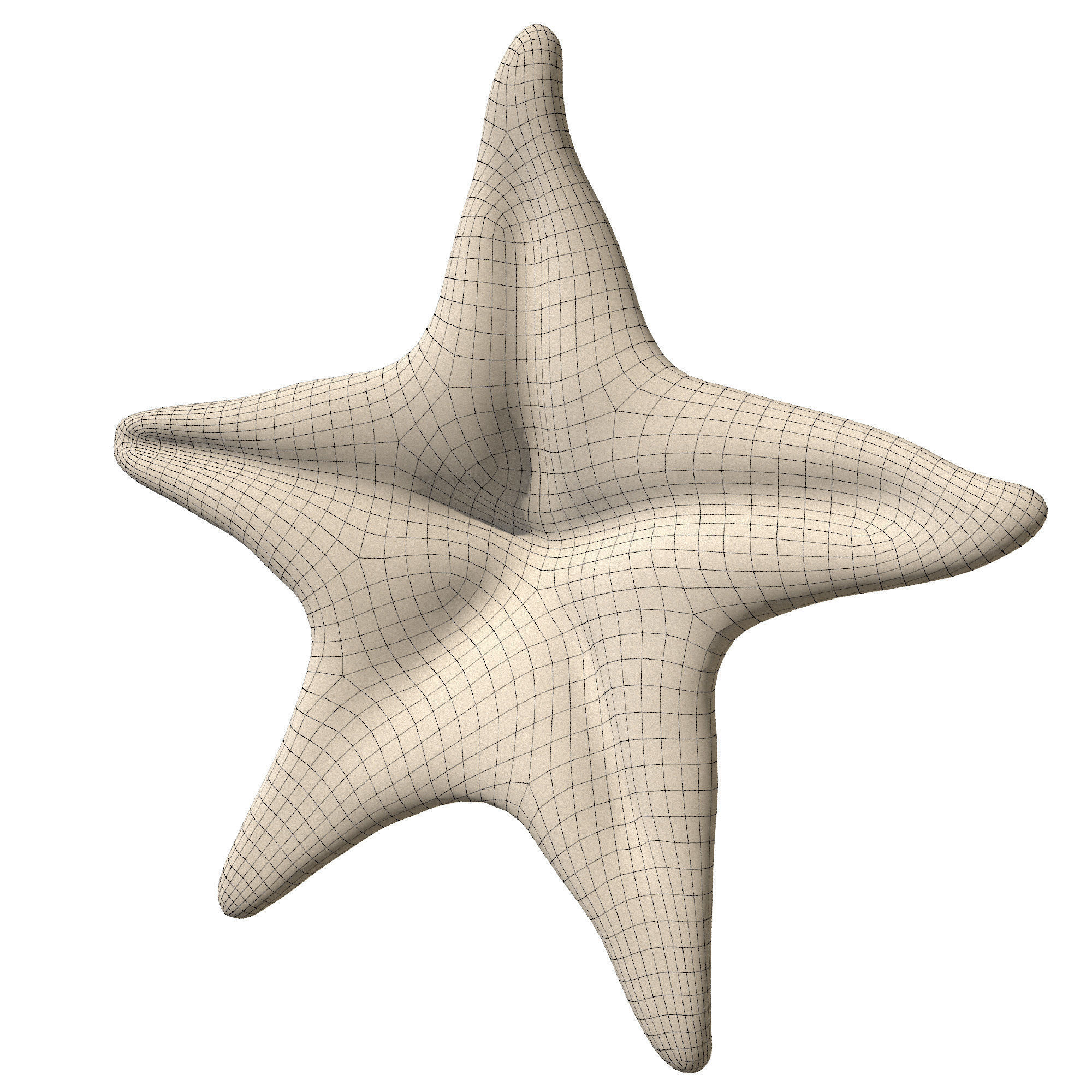 Sea Set starfish 3D model_3