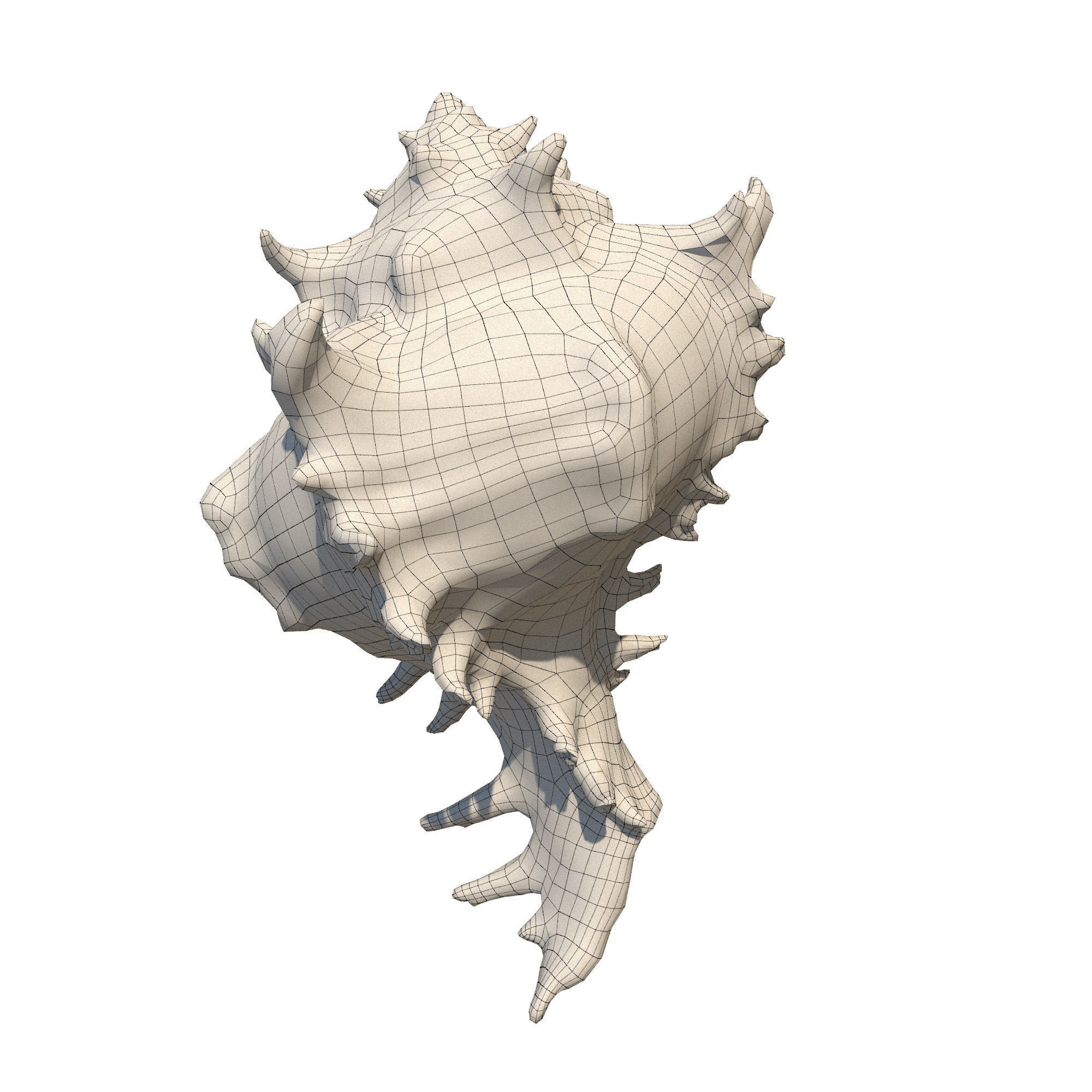 Sea Set starfish 3D model_14