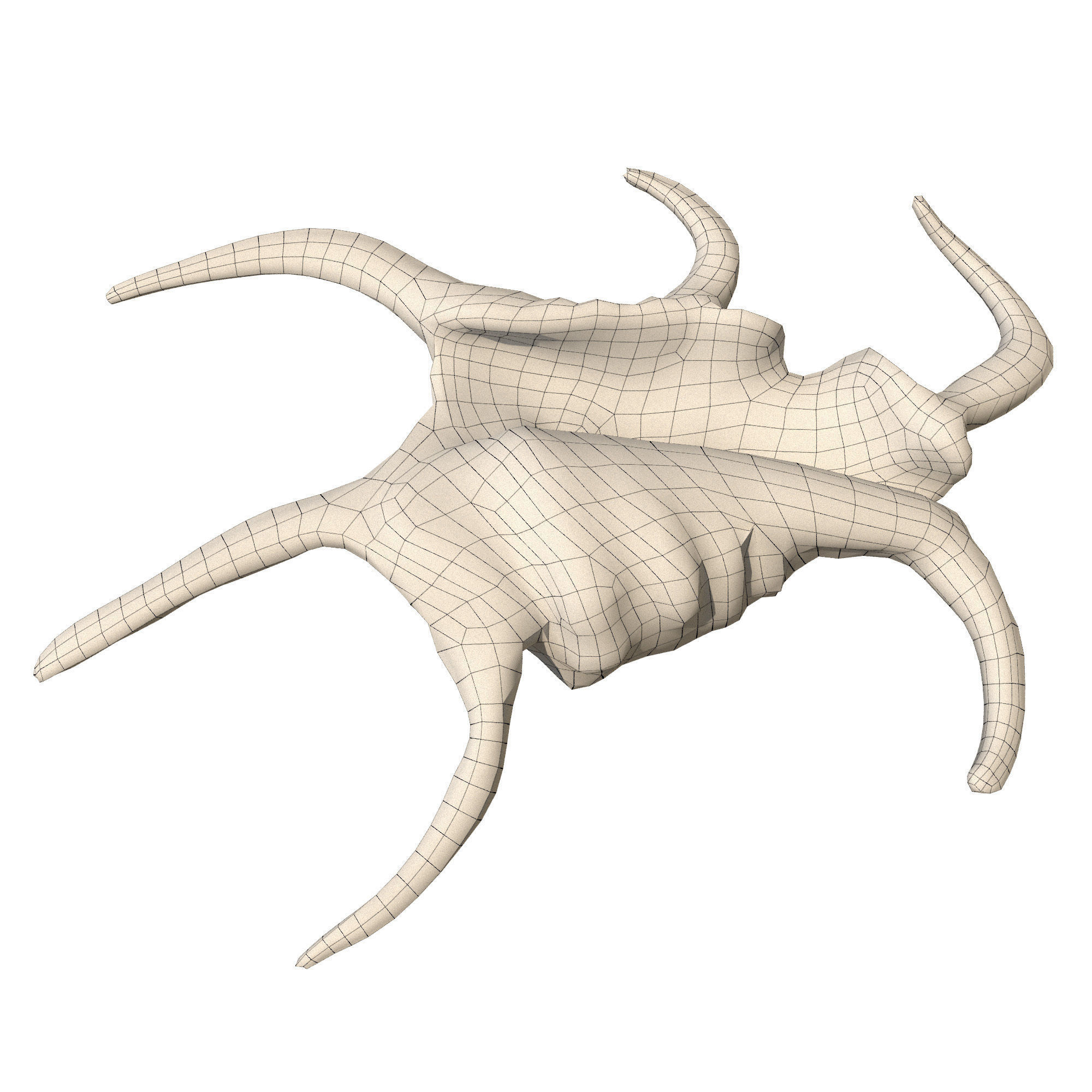 Sea Set starfish 3D model_7