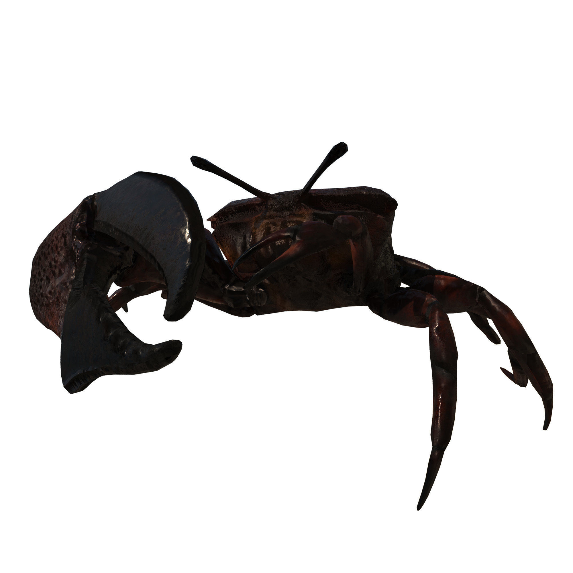 Sea Set starfish 3D model_20