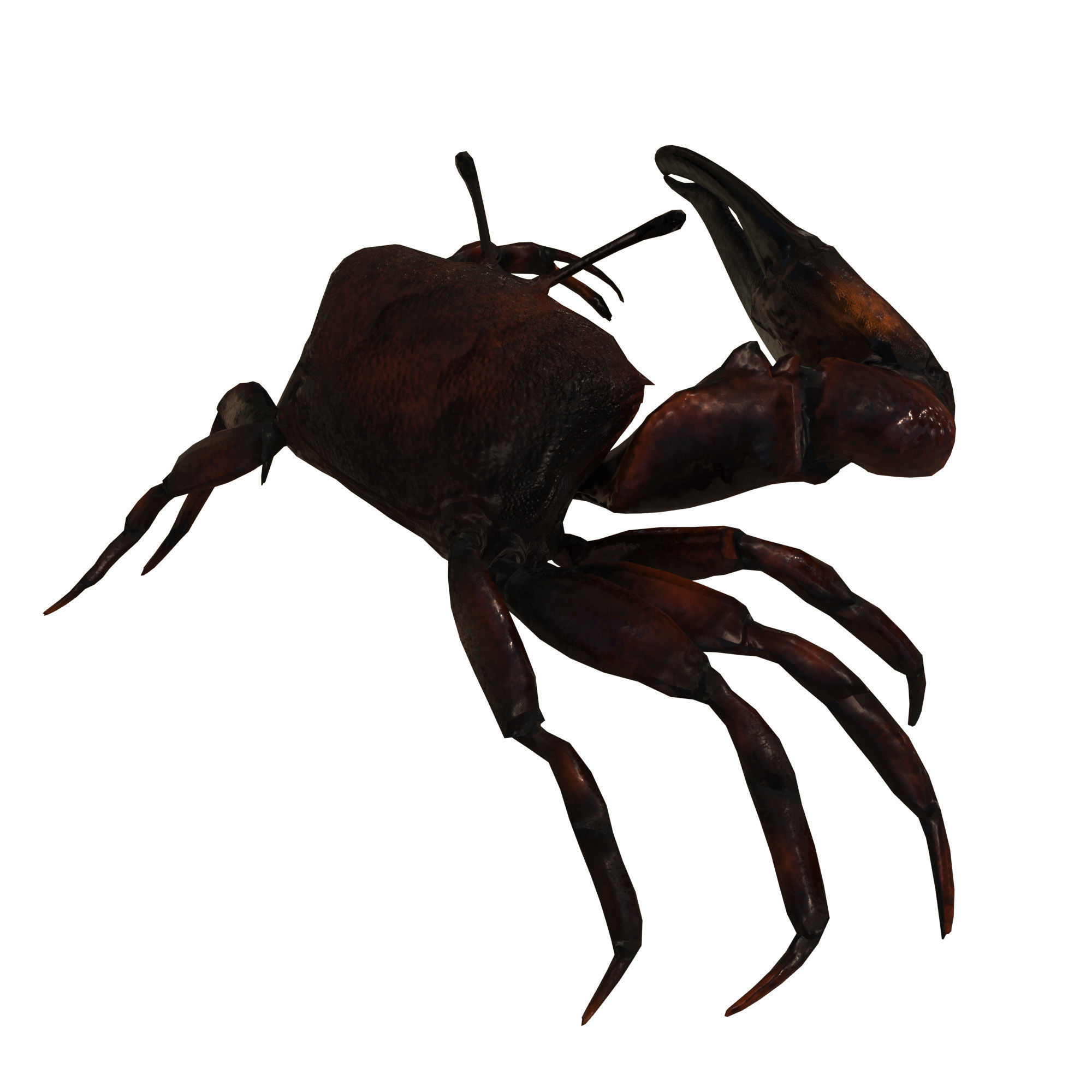 Sea Set starfish 3D model_19