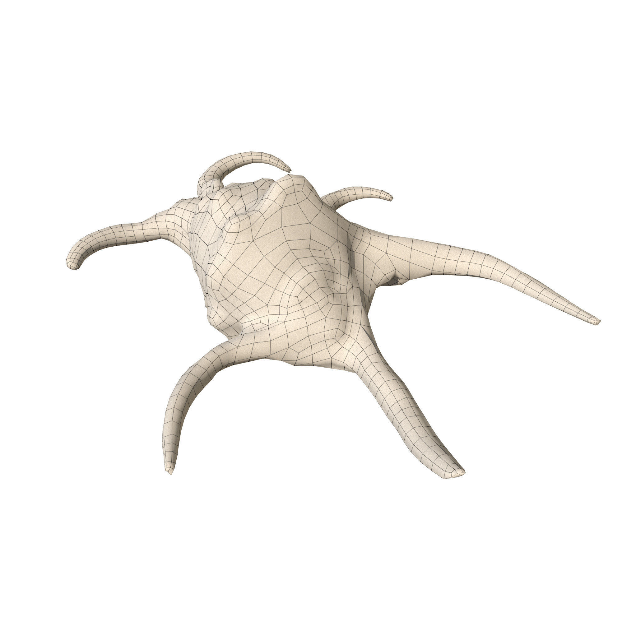 Sea Set starfish 3D model_9