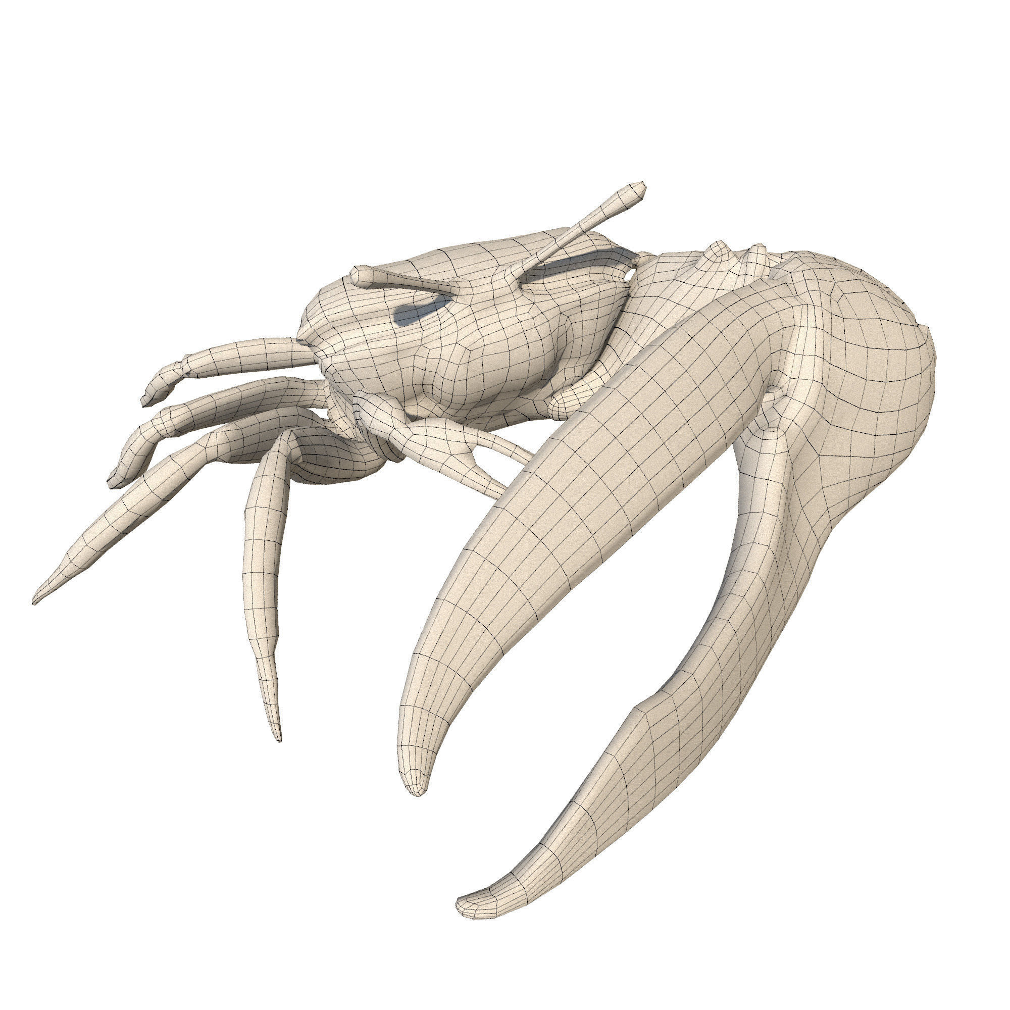 Sea Set starfish 3D model_22