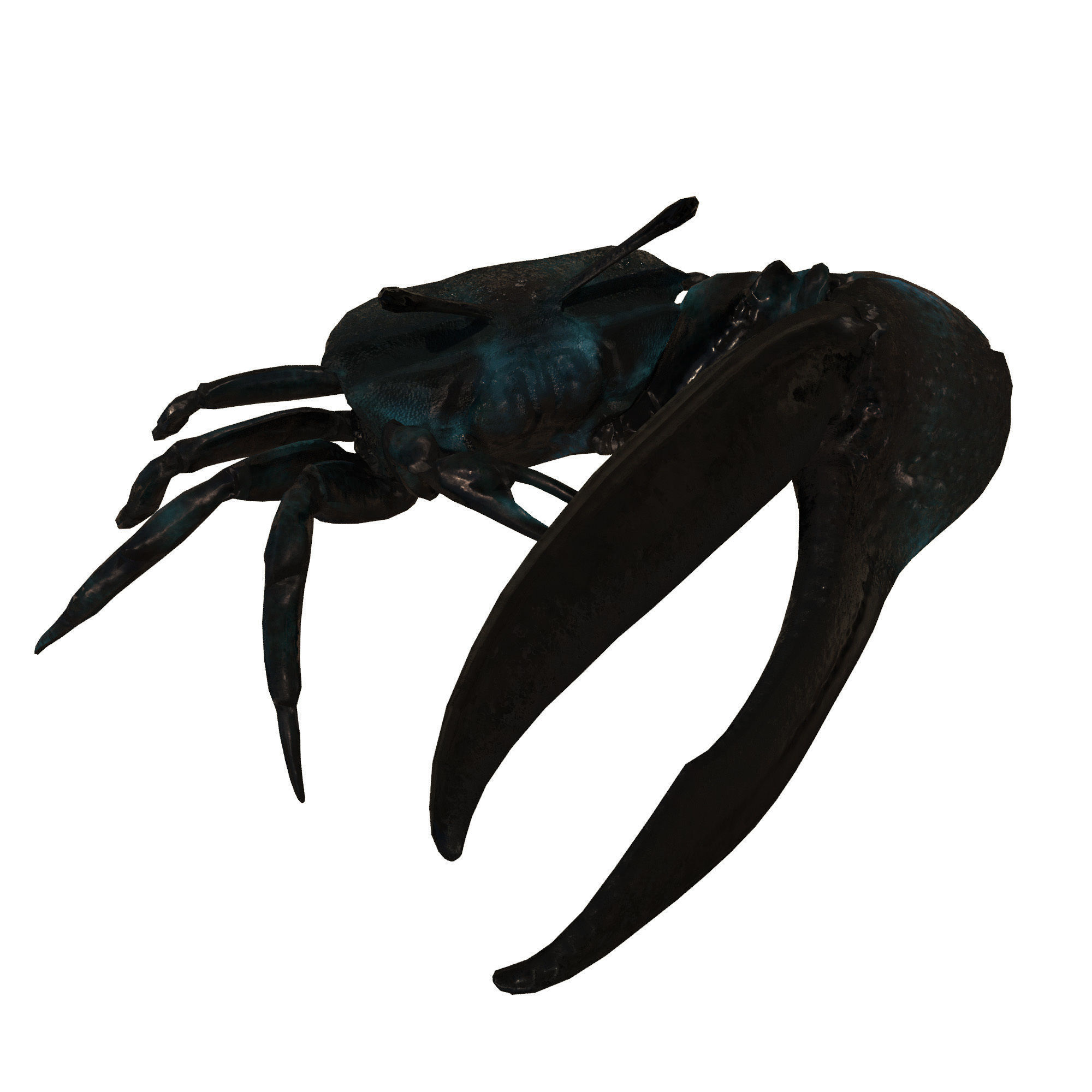 Sea Set starfish 3D model_18