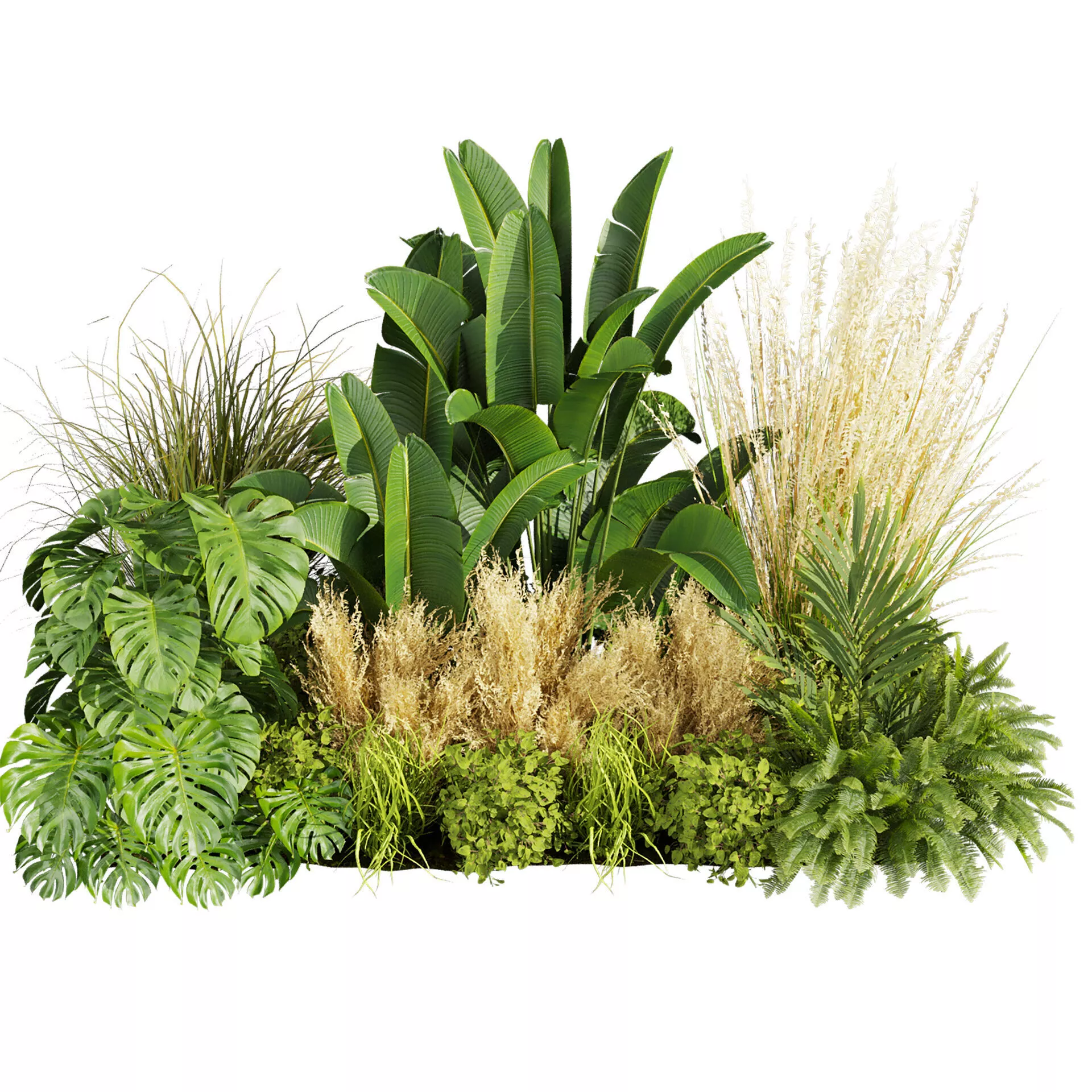 plant vol 892 - garden - pampas - banana - mostera 3D model
