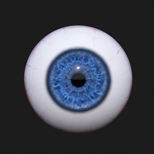 Realistic Eye  3D model