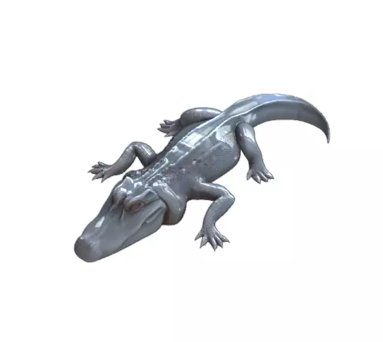 Realistic Crocodile Alligator Detailed Sculpt 3D print model