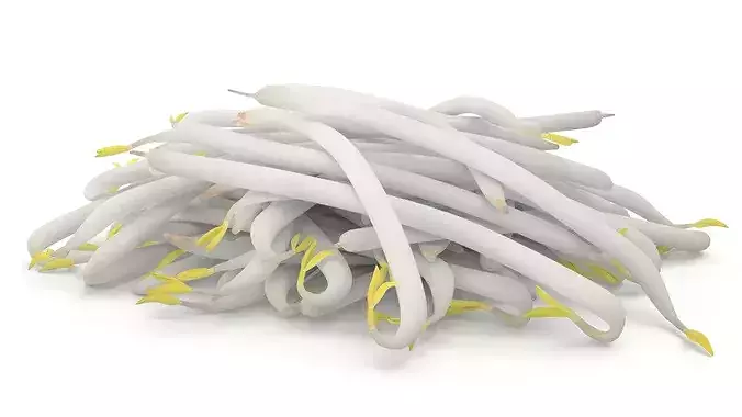 Bean Sprout Pile 3D model 5