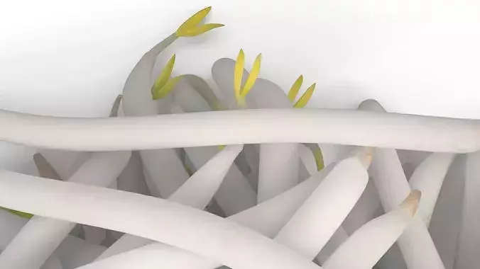 Bean Sprout Pile 3D model 6