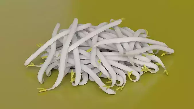 Bean Sprout Pile 3D model 4