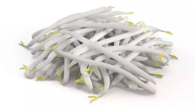 Bean Sprout Pile 3D model