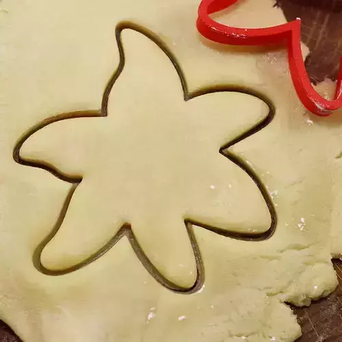 Flower Lily cookie cutter for professional
