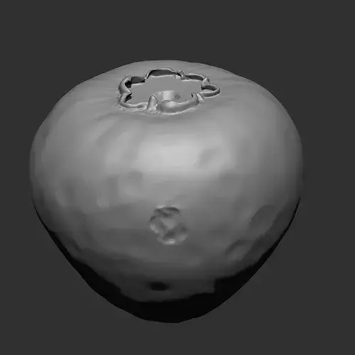 FRUITS AND VEGETABLE IMM OBJ BRUSH 17 IN ONE VOL 02 3D model 5
