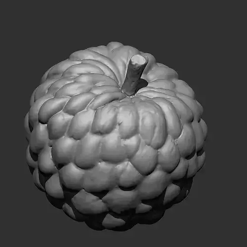 FRUITS AND VEGETABLE IMM OBJ BRUSH 17 IN ONE VOL 02 3D model 2