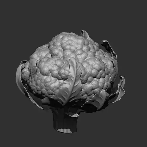 FRUITS AND VEGETABLE IMM OBJ BRUSH 17 IN ONE VOL 02 3D model 4