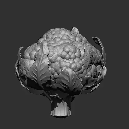 FRUITS AND VEGETABLE IMM OBJ BRUSH 17 IN ONE VOL 02 3D model 3
