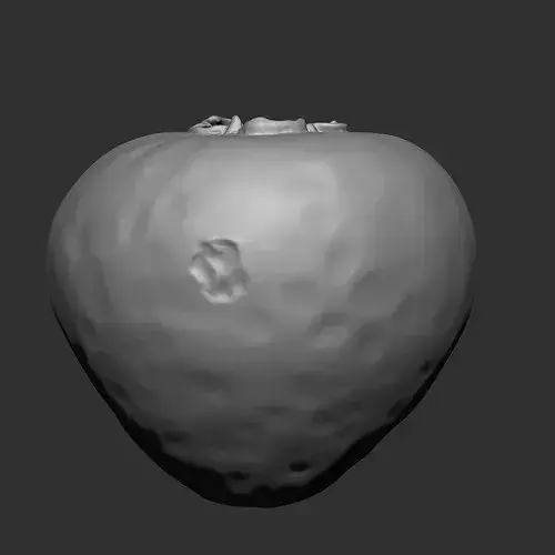FRUITS AND VEGETABLE IMM OBJ BRUSH 17 IN ONE VOL 02 3D model 6