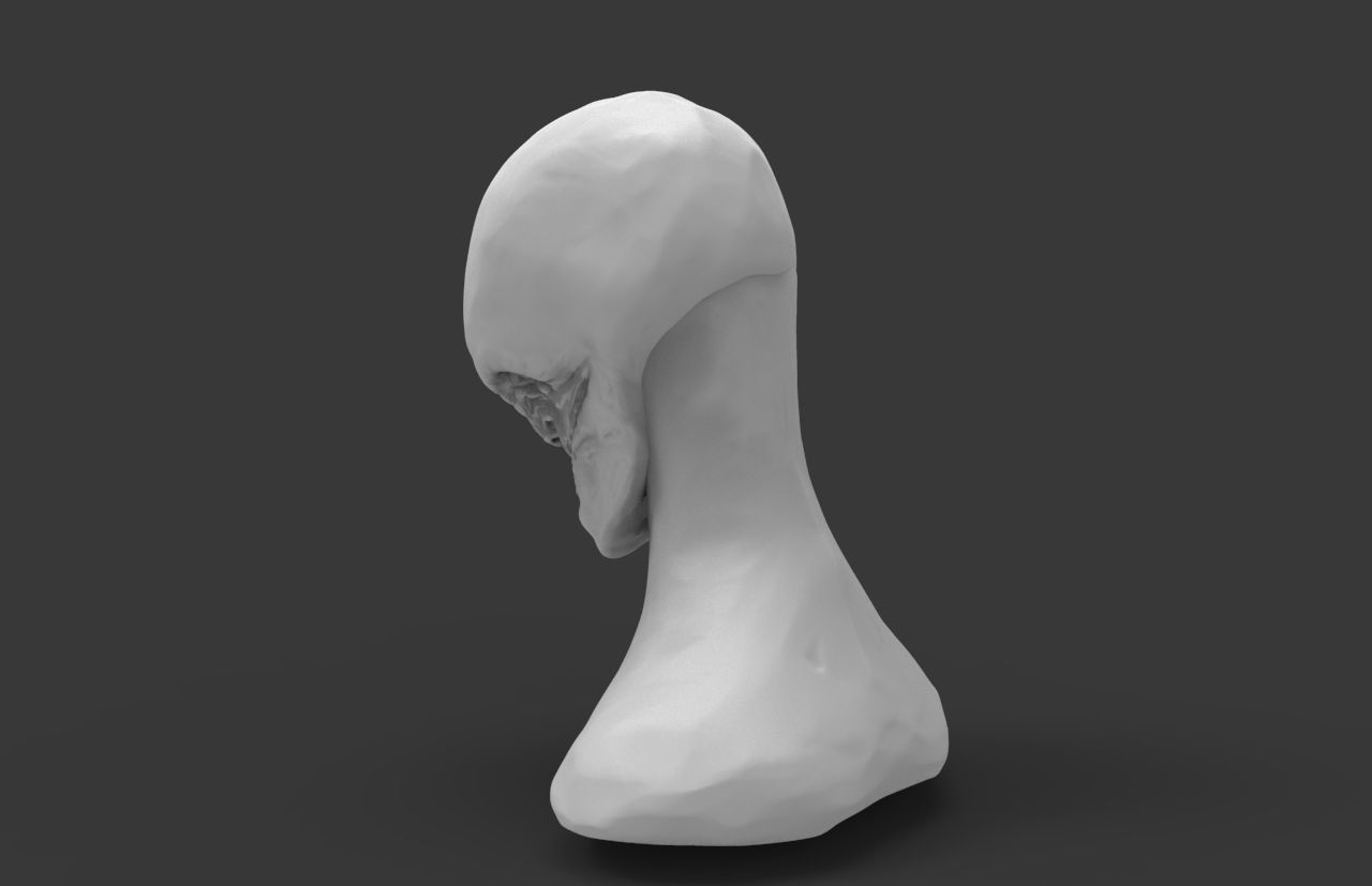 Creature Bust 1 3D model_2
