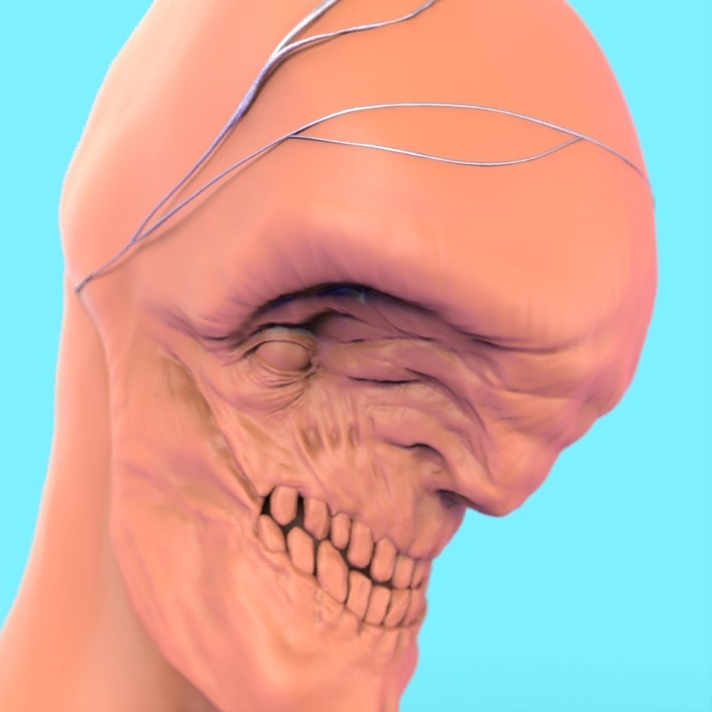 Creature Bust 1 3D model_6