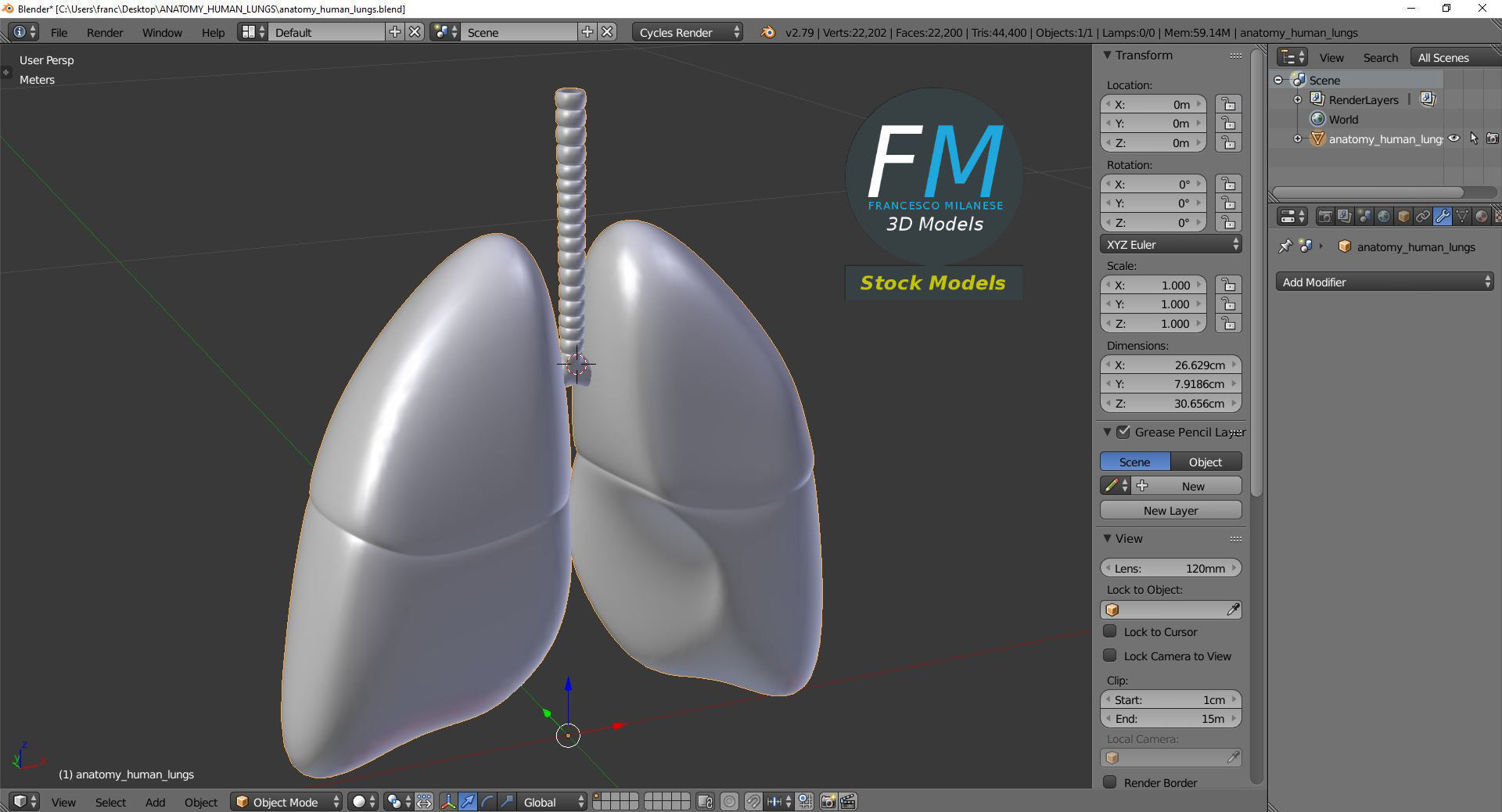 Anatomy - Human lungs 3D model_9